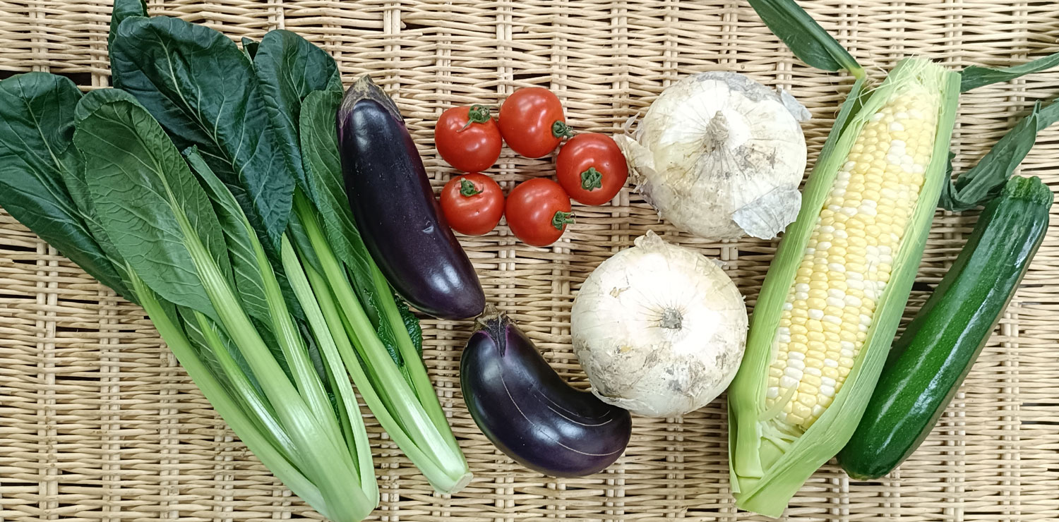野菜セット 10品目 選べるたまご 直送野菜 新鮮 採れたて 茨城県