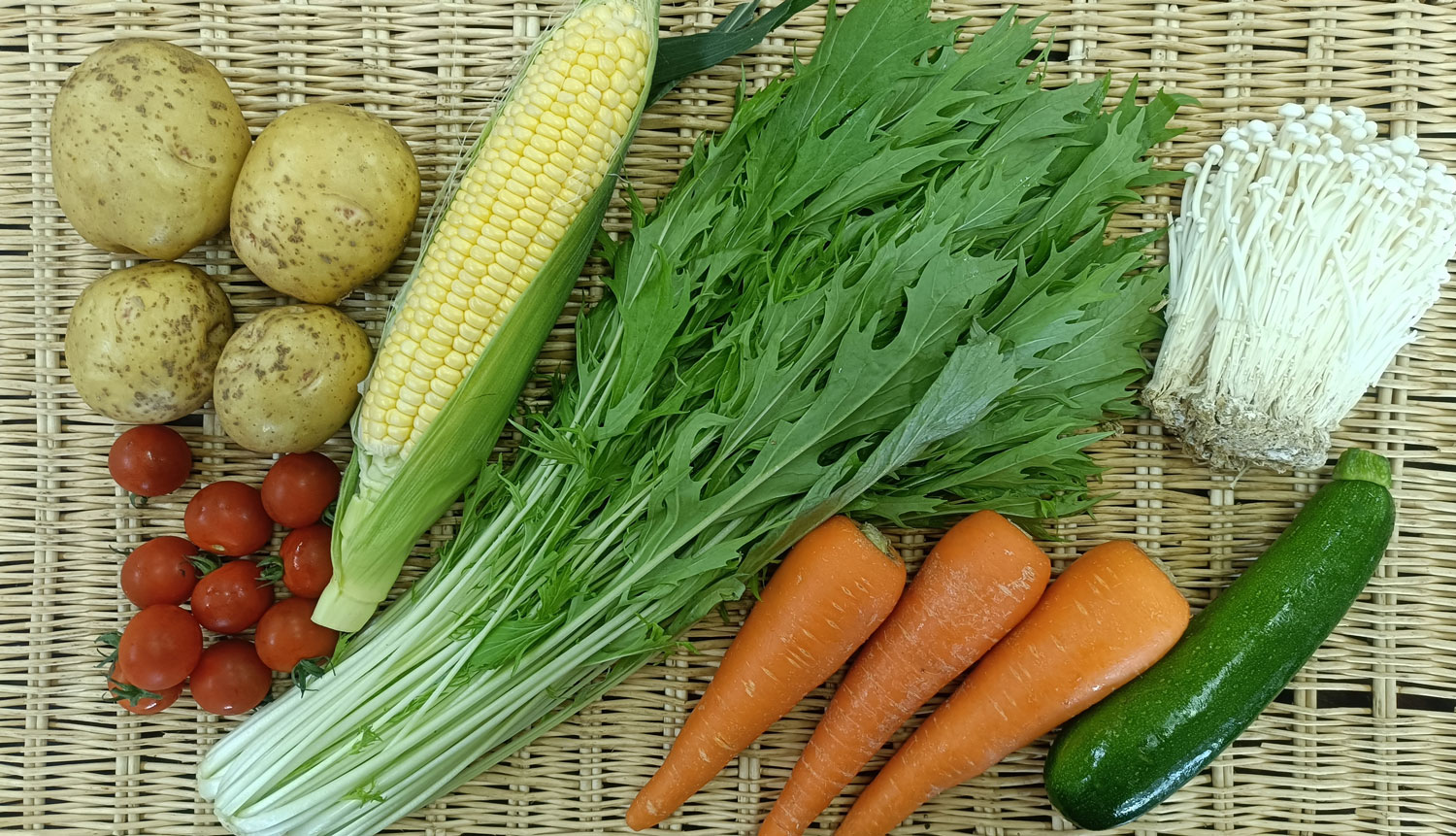 おまかせ野菜セット | 直販 - モクモクショップ