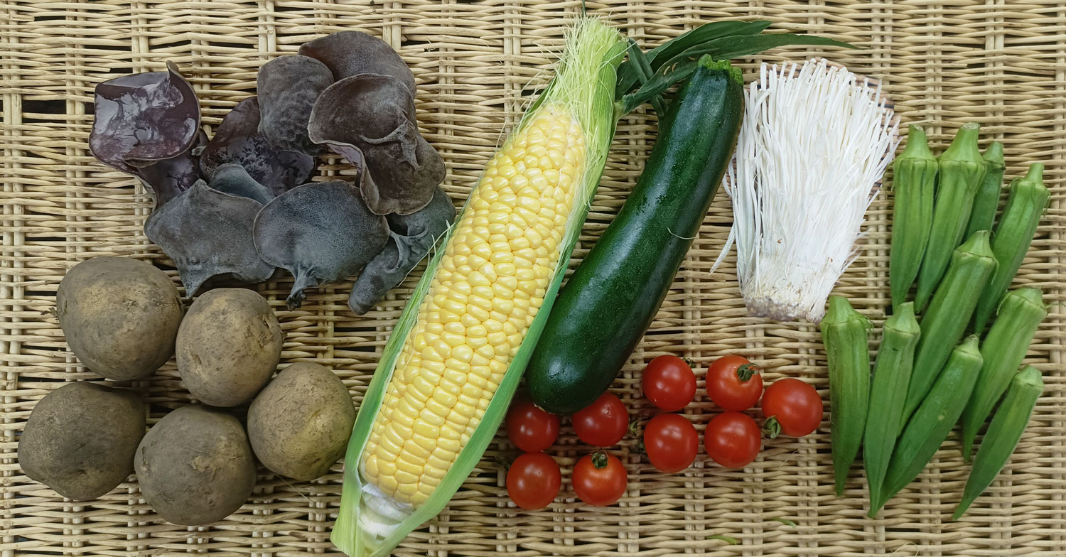 おまかせ野菜セット | 直販 - モクモクショップ