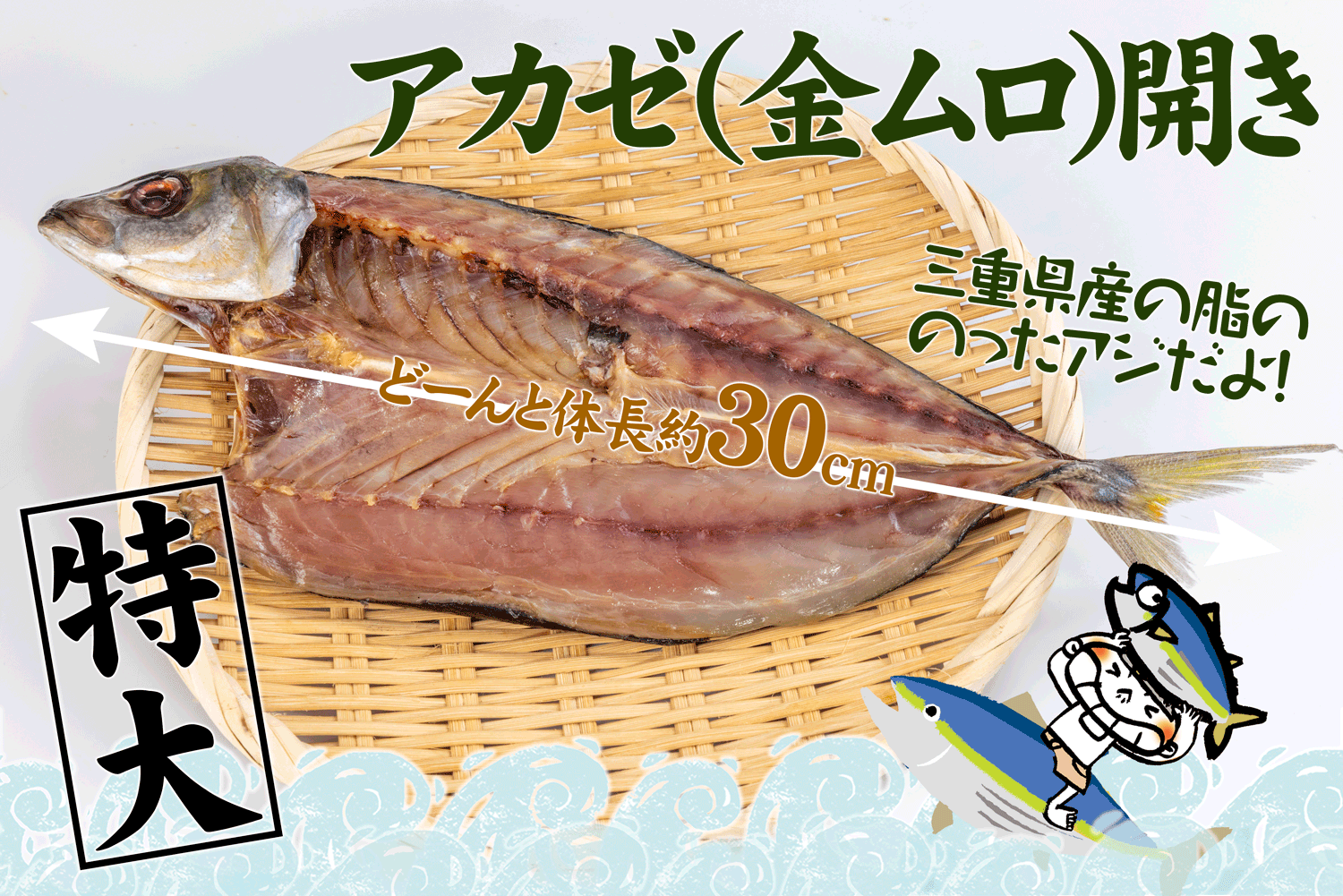 特大アカゼ(金ムロ)開き【数量限定】
