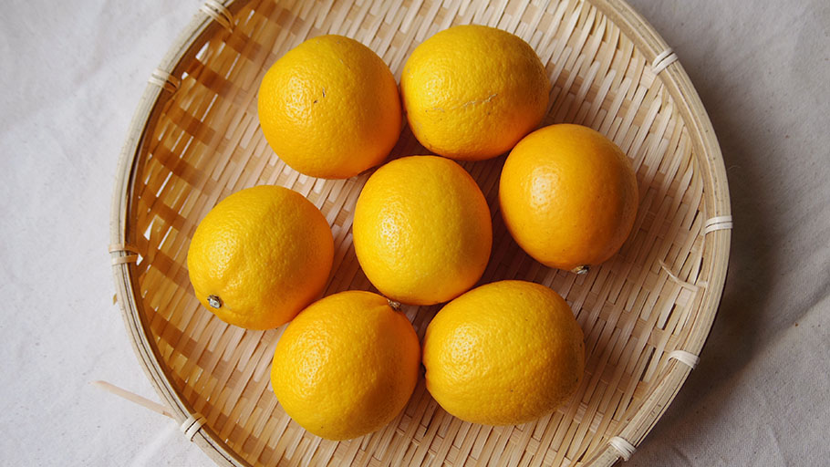 御浜柑橘さんの「マイヤーレモン」