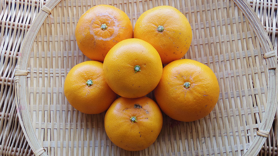御浜柑橘さんの「せとか」