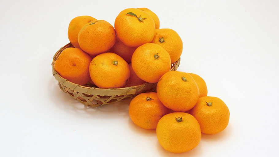 御浜柑橘小粒みかん