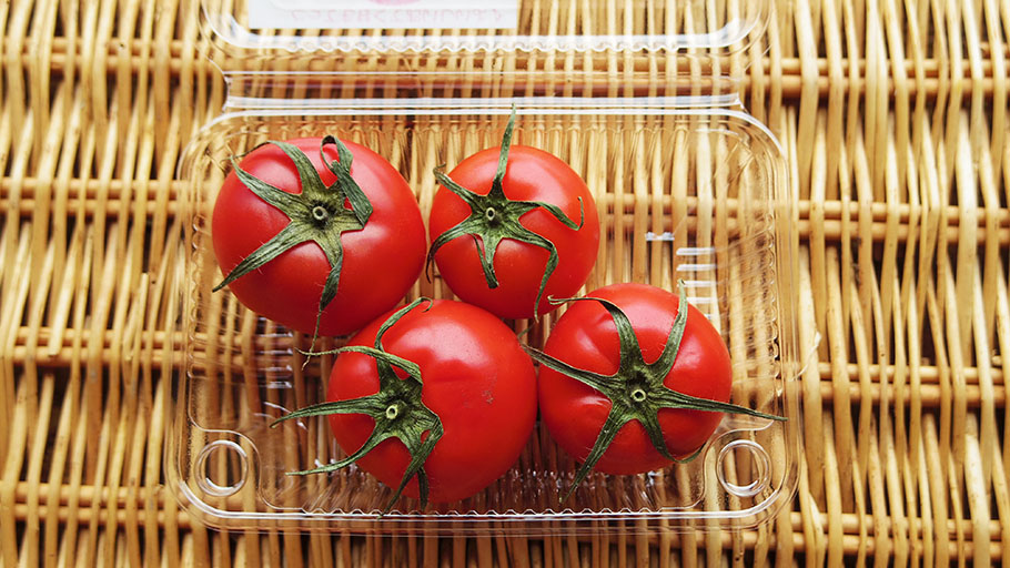 岩井さんのフルーツトマト「ソプラノ」