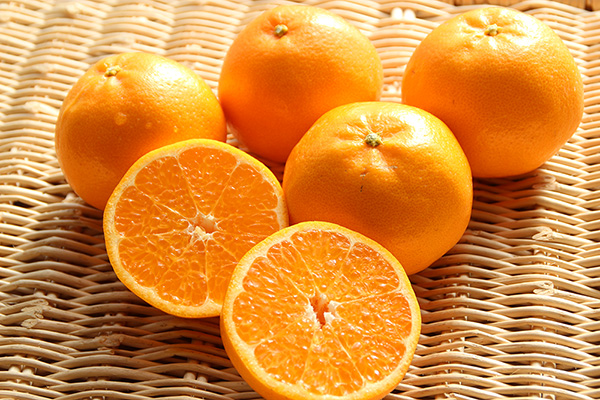 御浜柑橘さんの「はるみ」