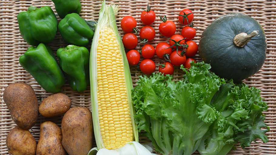 6月から:おまかせ野菜セット2~3人前