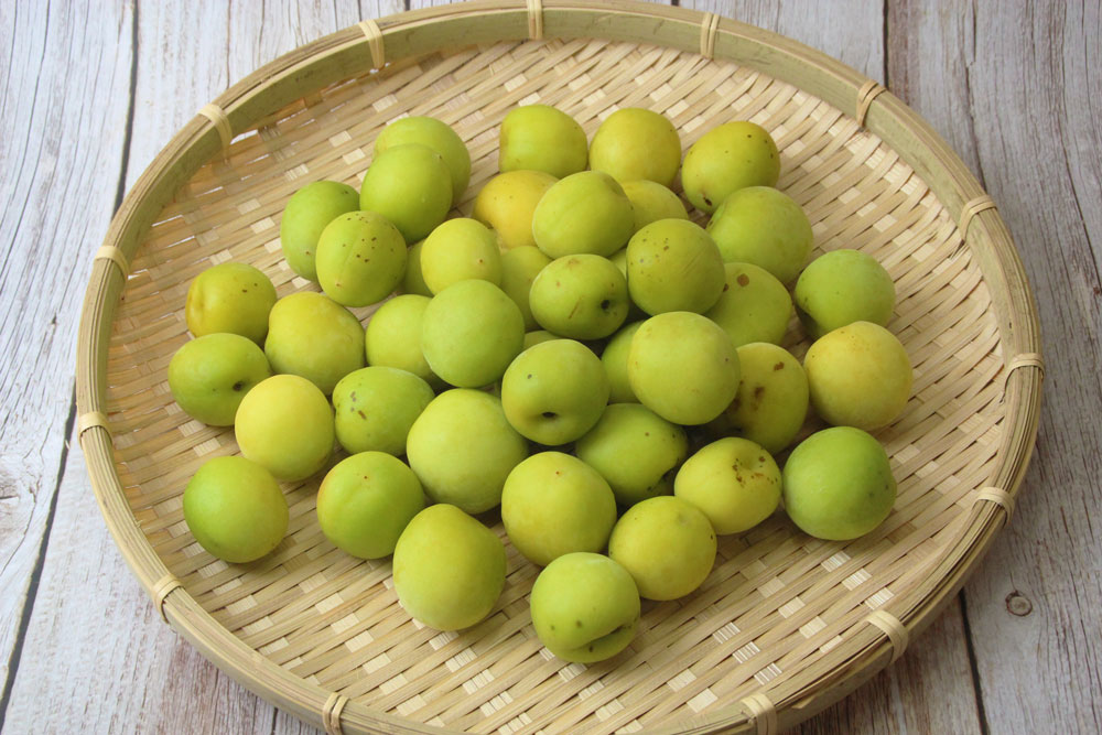 三重県産南高梅（L～2L）1kg