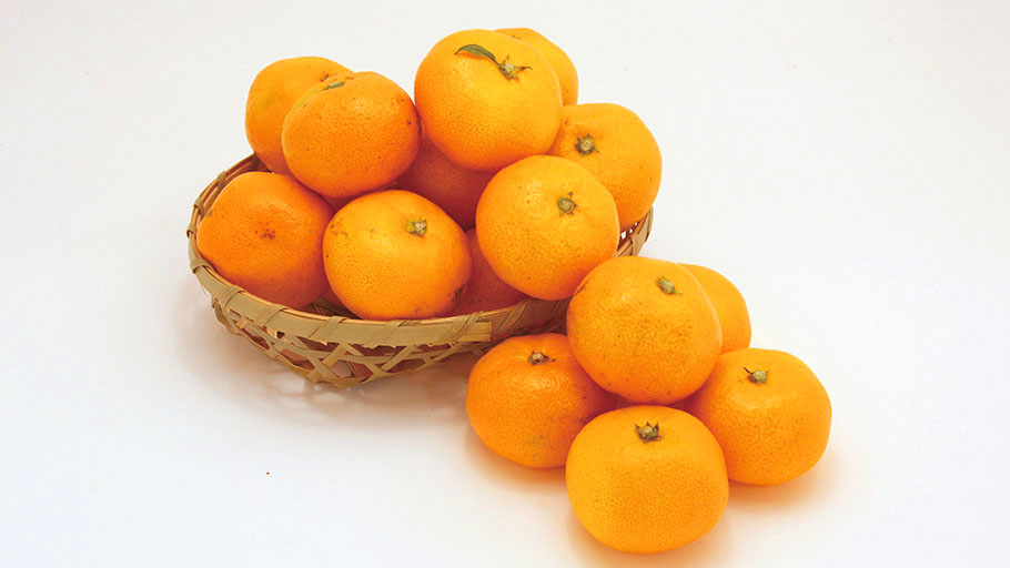 小粒　有田みかん