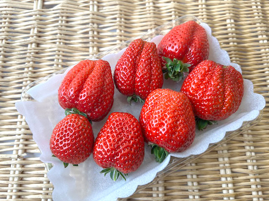 モクモク農場　春いちご【3/16着】