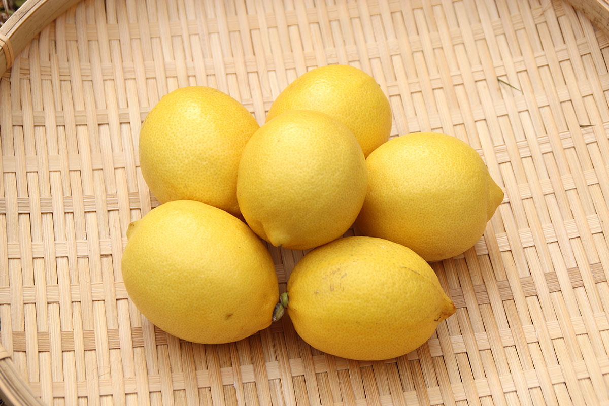 国産ふぞろいレモン