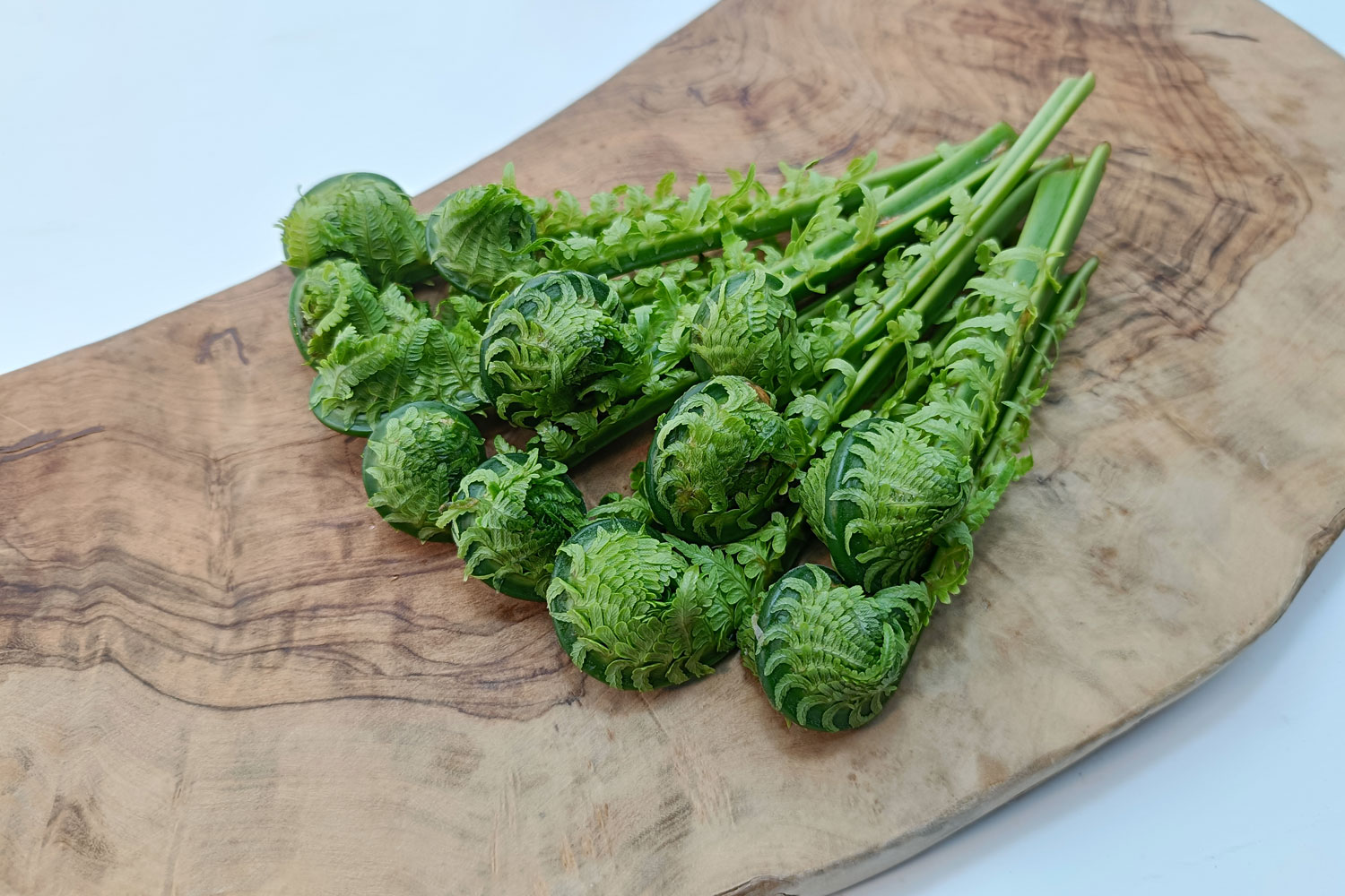 谷本さんのこごみ 50g