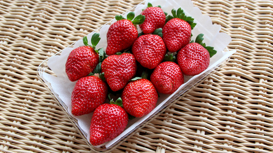 モクモク農場　春いちご【3/27着】