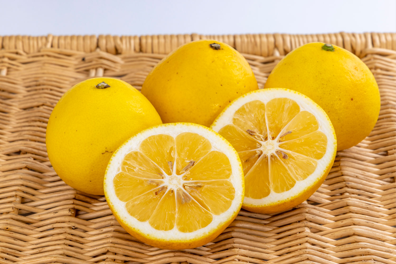 日向夏 Lサイズ 3玉