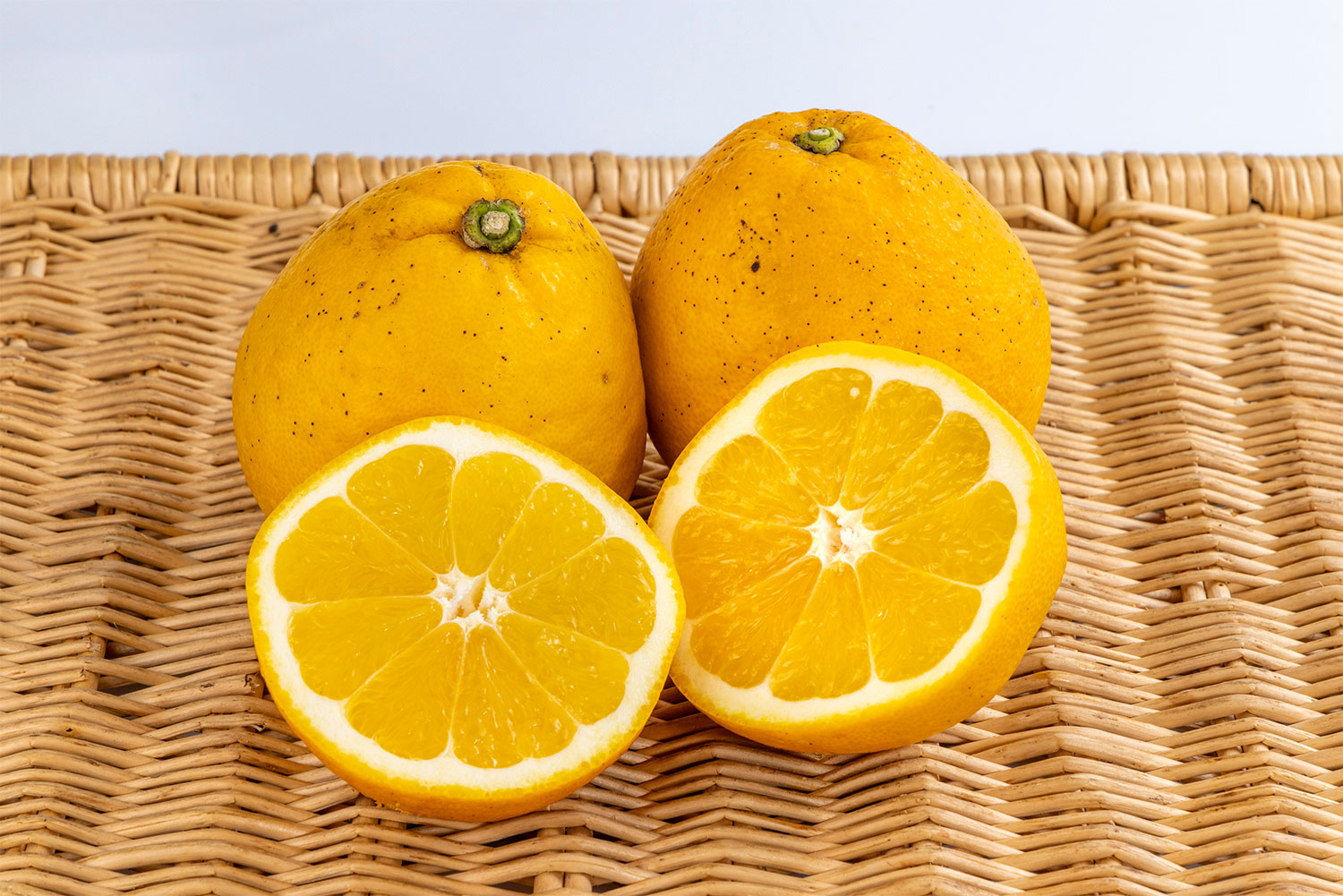 ふぞろい河内晩柑 2玉