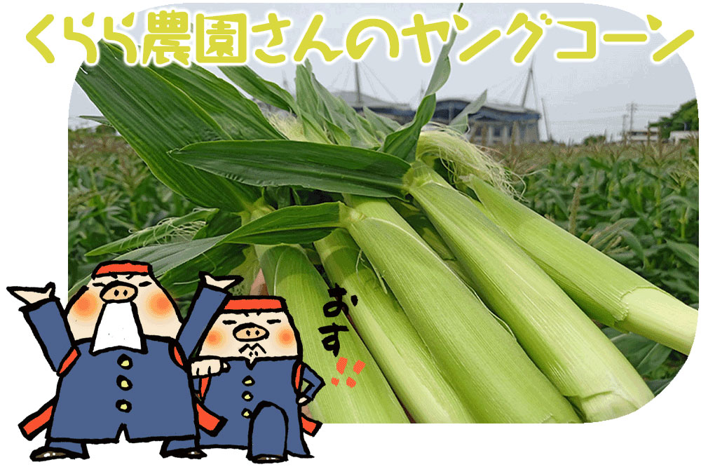 【5/29着】くらら農園さんヤングコーン5本