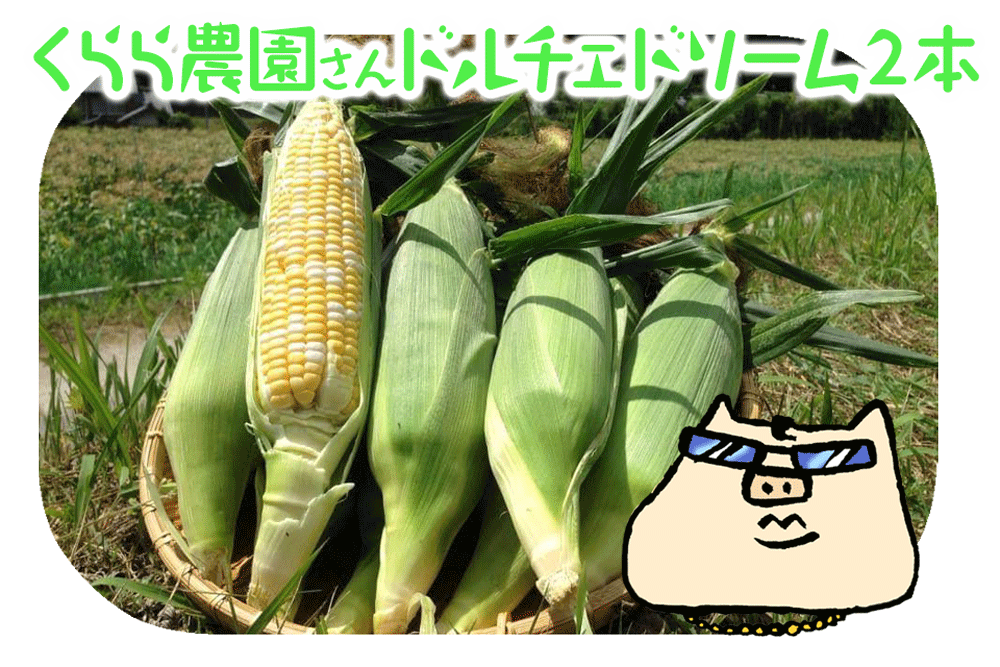 くらら農園ドルチェドリーム2本【7/10着】