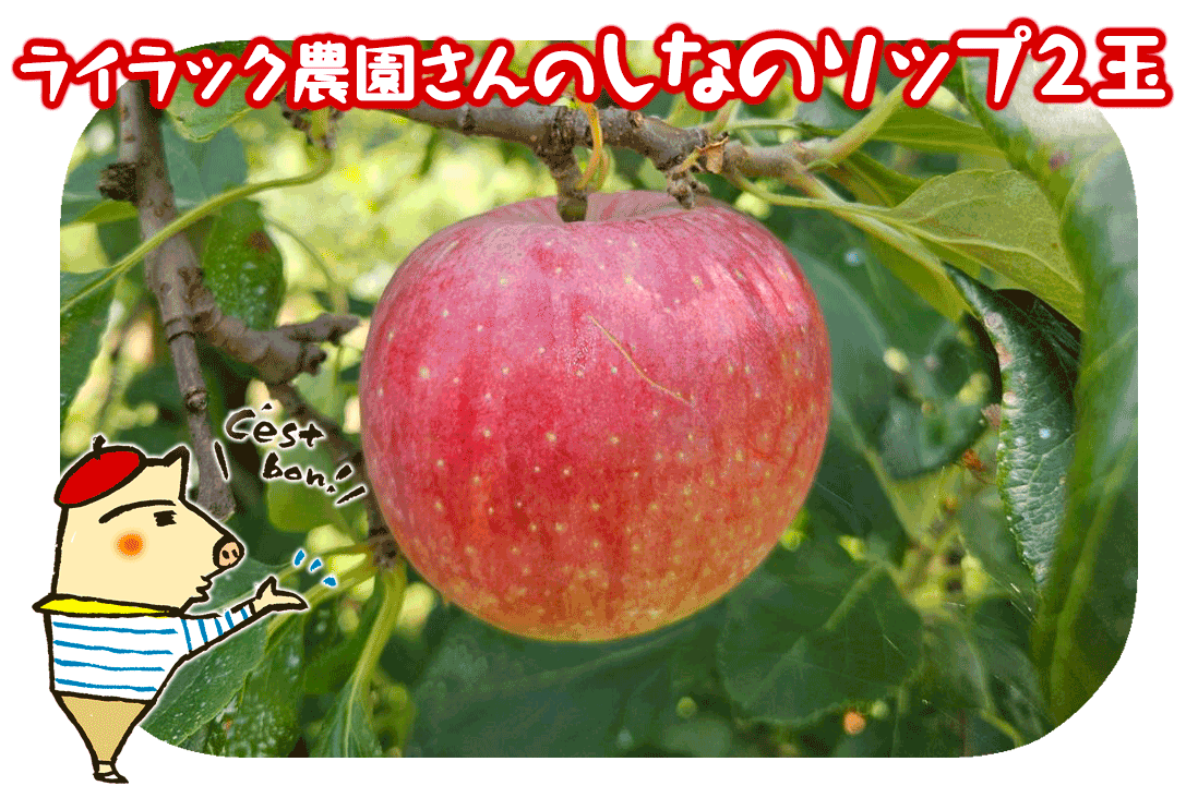 ライラック農園さんのしなのリップ2玉