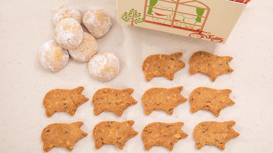 米粉のクッキーセット【２月まで】