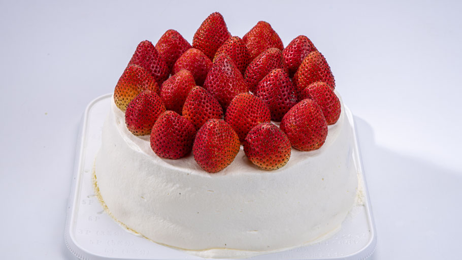 わんぱくスペシャルクリスマスケーキ